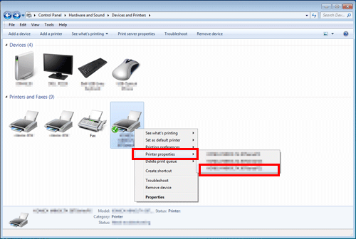 Properties Window Of The Printer Driver