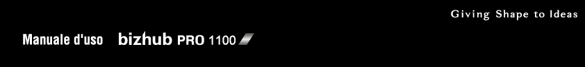 bizhub PRO 1100
